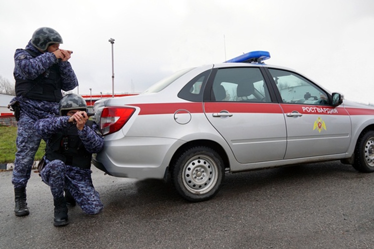 В Димитровграде сотрудники Росгвардии задержали двоих мужчин за кражу товара элитного алкоголя