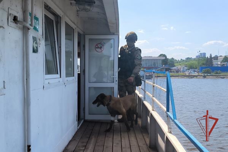В Ульяновске росгвардейцы приняли участие в антитеррористических учениях
