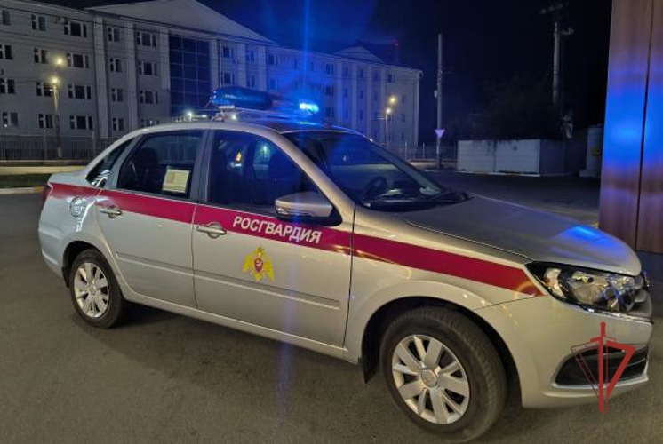 В Ульяновске росгвардейцы задержали подозреваемую в краже из гипермаркета