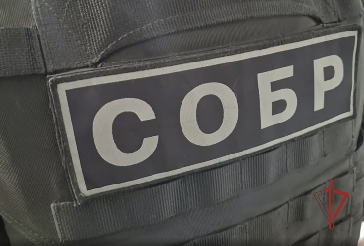 В Ульяновске при содействии сотрудников Росгвардии задержан подозреваемый в вымогательстве у вдовы участника СВО (видео)