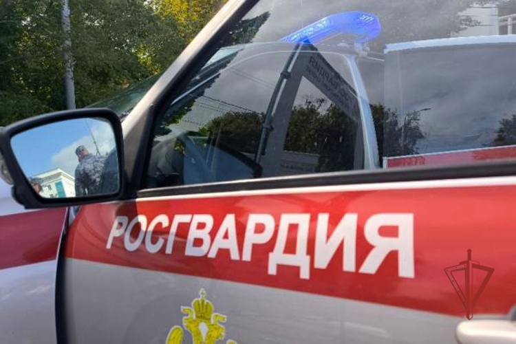 В Заволжском районе росгвардейцы задержали ульяновца, подозреваемого в краже