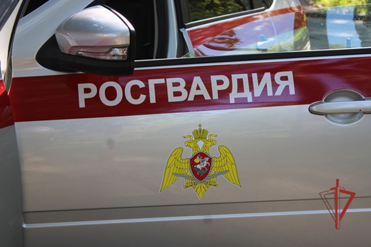 В Димитровграде росгвардейцы задержали женщину, подозреваемую в хулиганстве