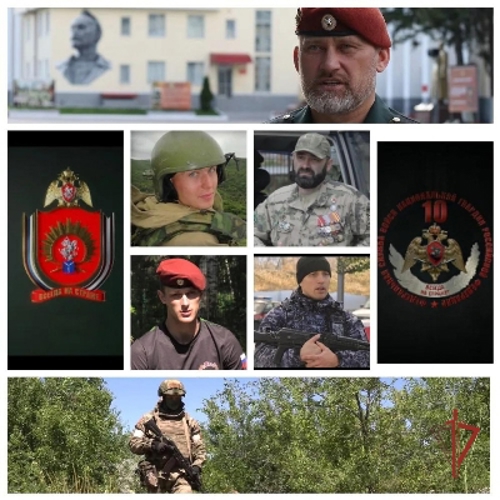 Ко Дню России Росгвардия и оргкомитет Международного фестиваля медийного творчества "Братина" проводят показ документальных фильмов о героях СВО