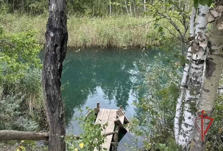 Ульяновские росгвардейцы приняли участие в городском субботнике