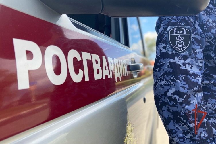 Росгвардейцы задержали подозреваемую в крупной краже из гипермаркета в Димитровграде